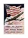 The Art Stop VINTAGE AD MILITARY AIR FORCE BOMBER FLAG USA WW2 WAR PRINT F12X5862