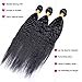 Ali Moda Yaki Kinky Straight Brazilian 8A 3 Bundles Human Virgin Hair Weave Extensions Natural Color (14 12 10)