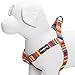 Blueberry Pet Step-in Harnesses, Chest Girth 19.5