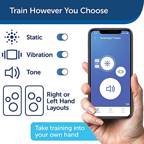 smartphone dog training collar