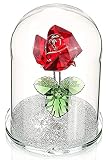 H&D Red Preserved Crystal Glass Rose Flower in Glass Dome Gift for Valentine's Day Anniversary Birthday