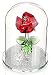 H&D Red Preserved Crystal Glass Rose Flower in Glass Dome Gift for Valentine's Day Anniversary Birthday