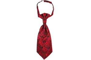 Lovacely Mens Pre-tied Paisley Cravat Ascot Tie Wedding Cravat Double Satin Casual Paisley Ascot Neck Tie