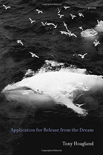 Application for Release from the Dream: Poems