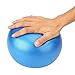 Tough Kiwi 9 Inch Pilates Ball with Pump - Mini Exercise Ball for Home Fitness | Use for Home Fitness, Stability, Barre, Pilates, Yoga, Core Training or Physical Therapy (Blue)