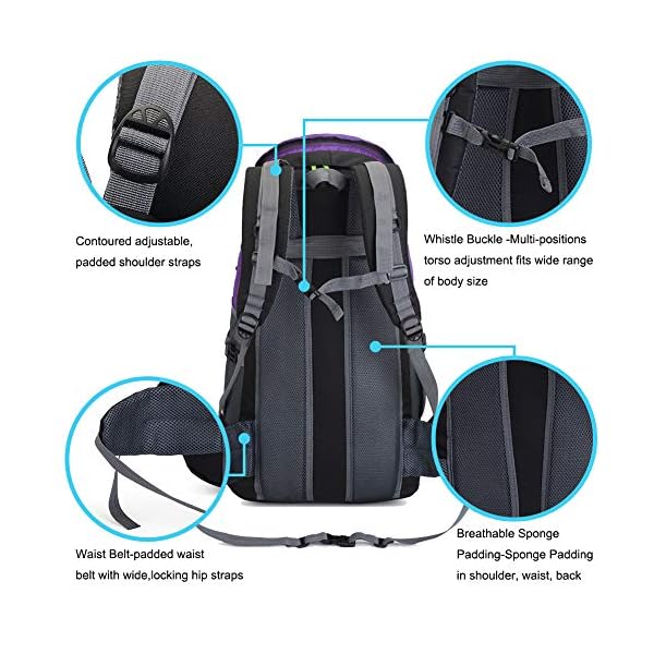 lightweight backpack with waist strap
