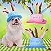 Tinksky Cat Dog Pet Happy Birthday Party Hat with Cake and 5 Colorful Candles Design Cosplay Costume Accessory Headwear (Blue)