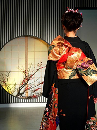 Wall Art Impressions Quality Prints - Laminated 24x32 Vibrant Durable Photo Poster - Kimono backshot by sth