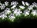 Inngree Solar Christmas String Lights Outdoor Waterproof 30 LED 20Feet Solar Snowflake Christmas Fairy Lights Decorations with 8 Lighting Modes for Garden Patio Yard Porch Wedding Party Decor(White)