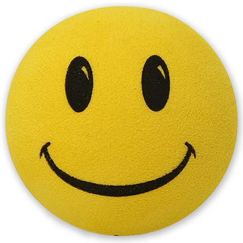 Pro Football Team Antenna Topper (Happy Face Antenna Ball) Mirror Dangler/Desktop Spring Stand Buddy/Auto Accessory (Seahawks)