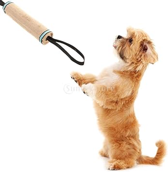 accesorios perros amazon