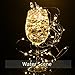 LightsEtc 100 Led Fairy String Lights Battery Operated 33ft Copper Wire Warm White Christmas Lights Copper Wire Christmas Lights Christmas Decor Warm White
