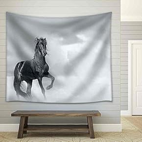 Black Horse - Fabric Wall Tapestry Home Decor - 51x60 inches