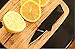 Holtzman's Credit Card Knife #1 Best Wallet Knife (Black)