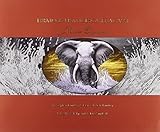 Firmo Francesa: Maestro Incisore, Master Engraver by 