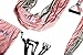 YOGABODY Yoga Trapeze (Official) with DVD, Baby Pink - Yoga Inversion Swing