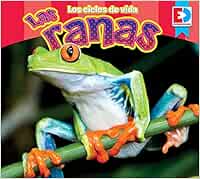 Los Ciclos de Vida Las Ranas (Eyediscover: Los ciclos de vida / Life Cycles)