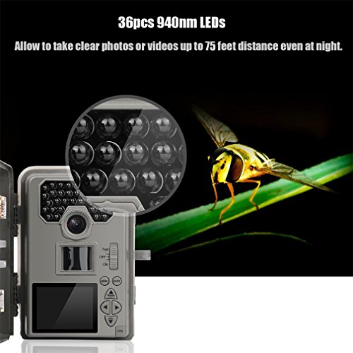 LESHP Trail and Game Camera Motion Activated 12 MP 1080P No Glow Trail Camera with Infrared Night Vision Built-in 2.0" LCD Screen Outdoor Waterproof IP66 Scouting Camera Deer Camera Digital Surveilla