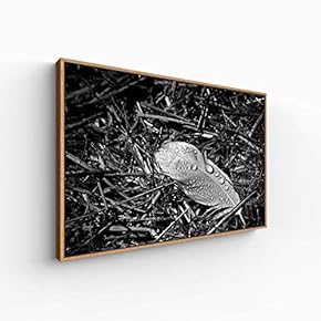 Canvas Wall Art for Living Room, Bedroom Black and White Article Framed Canvas Prints for Home Decoration Ready to Hang - 16x24 inches