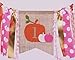 HighChair Banner for 1st Birthday - Halloween Decorations for Photo Booth Props,Souvenir and Gifts for Kids, Best Party Supplies (Halloween Birthday Banner)