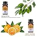 VSADEY Essential Oils Set, Top 6 Aromatherapy Essential Oils for Diffuser, Massage, Skin and Hair Care - Sweet Orange, Lavender, Tea Tree, Peppermint, Lemongrass, Eucalyptus 100% Pure, 6 x 10ml