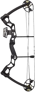 Best Compound Bow for the Money
