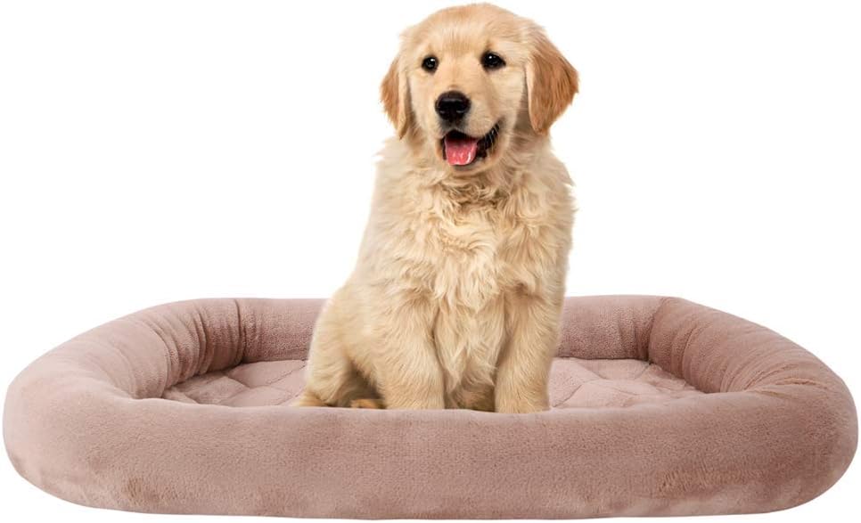 baby mattress used as dog bed