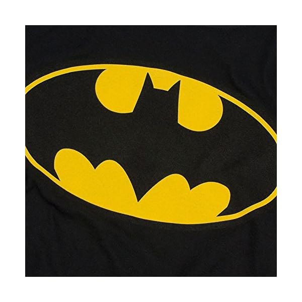 Popfunk Classic Batman Classic Logo Juniors Teen Girls T Shirt & Stickers - Image 6