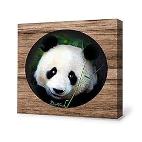 Cute Panda Painting Wall Poster Decor for Living Room Framed
