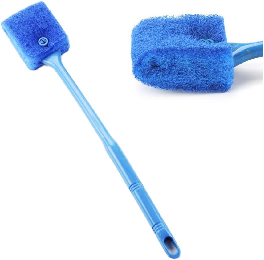 what do you feed hamsters