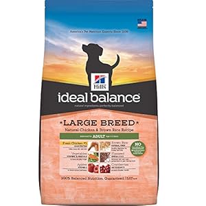 Hill's Ideal Balance Adult Large Breed Natural Chicken & Brown Rice Recipe Dry Dog Food, 15-Pound Bag