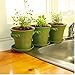 Window Garden Rustic Charm 6” Planter - Fine Home Décor Ceramic Indoor Decorative Pot. for or Herbs, Flowers, Succulents. Beautifully Packaged, Great Gift for Mom, Office, Holiday.