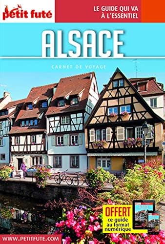 Download Guide Alsace 2016 Carnet Petit Futé PDF