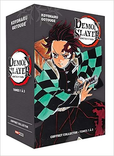 Coffret Demon Slayer T01 A T03 Panini Manga French Edition 9782809491623 Amazon Com Books
