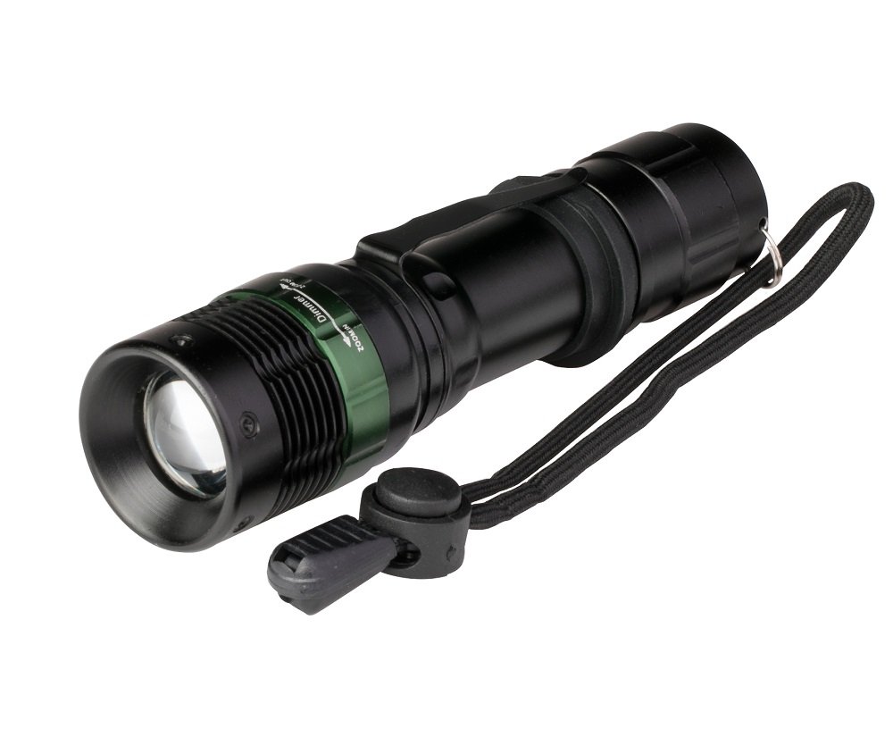 Poly Pool Portable LED Flashlight, Black/Green