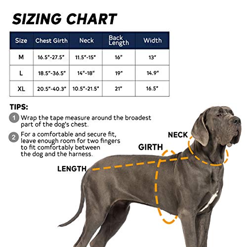 EJG Tactical Dog Molle Harness, with 3 Detachable Pouches & Velcro Area, No Pulling Design, Comfy Mesh Padding, Service Dog, Military Training, Hunting, Vest for Medium & Large Dog - Thumbnail 5