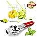 O'Citron Lemon Squeezer Stainless Steel, Lime Juicer with Ergonomic Silicone Handles, Manual Citrus Press Premium Quality
