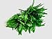 Artificial Silk Persian Grass Nearly Natural Fern Plant-2 Pack