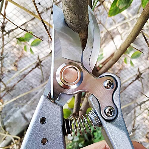 MEPEREZ pruning shears, premium garden pruners for roses, hedges
