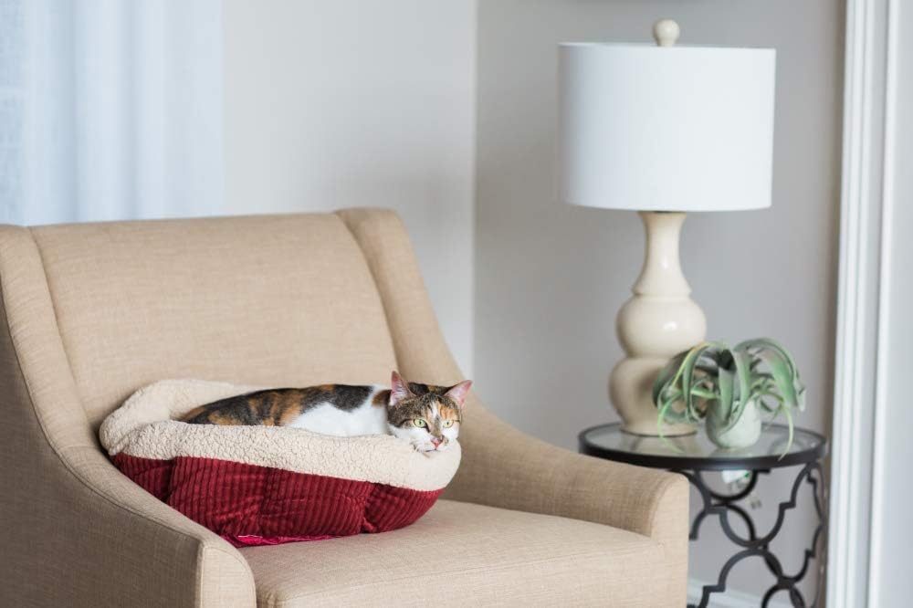 Aspen Pet Self-Warming Corduroy Pet Bed Several Shapes Assorted Colors : Pet Supplies