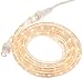 American Lighting 042-CL-10 Incandescent Rope Indoor/Outdoor Rated Light Kit, 10-Feet