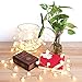 DecorNova Globe String Lights, 16.4 Feet 50 LED Battery Operated Fairy Lights with 3 AA Battery Case, Remote & 8 Modes for Christmas Party Bedroom Wedding Decorations, Warm White (Set of 2)