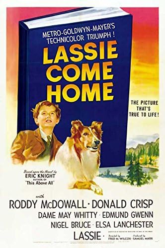 Amazon.com: Lassie Come Home POSTER Movie (27 x 40 Inches - 69cm x 102cm) ( 1943) (Style B): Posters & Prints