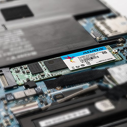 ADATA-Premier-SP550-M2-2280-240GB-Solid-State-Drive-ASP550NS38-240GM-C