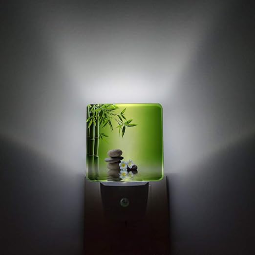 Night Light Plug in LED Lamp Automatic Sensor Night Lights Plug into