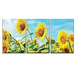 3 Piece Canvas Wall Art - Sunflower Field Under Sunny Sky - Modern Home Art Stretched and Framed Ready to Hang - 16"x24"x3 Panels