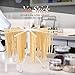 Hin Plus Pasta Drying Rack Collapsible (White)