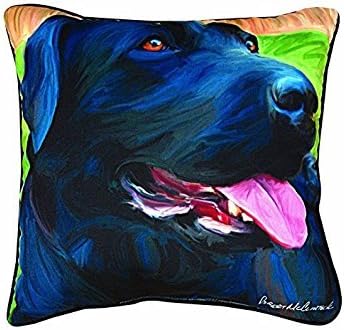 NicholasArt Handsome Black Lab Paws and Whiskers Decorative Square Throw Pillow Case Personalized Cushion Cover Home Decorative Pillow Cover 18x18