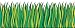 Scholastic TF3302 Tall Green Grass Jumbo Borders primary