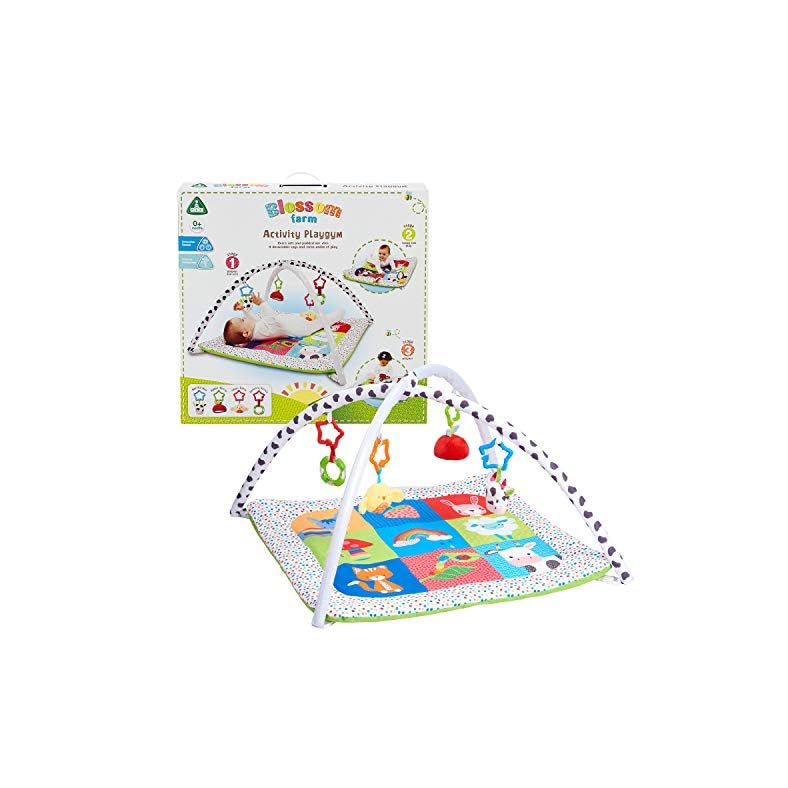 Early Learning Centre Blossom Farm Playmat & Arch, Physical Development, Hand Eye Coordination, Stimulates Senses, Baby…